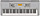 YAMAHA YPT-360