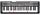 CASIO LK-125