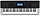 CASIO CTK-4400